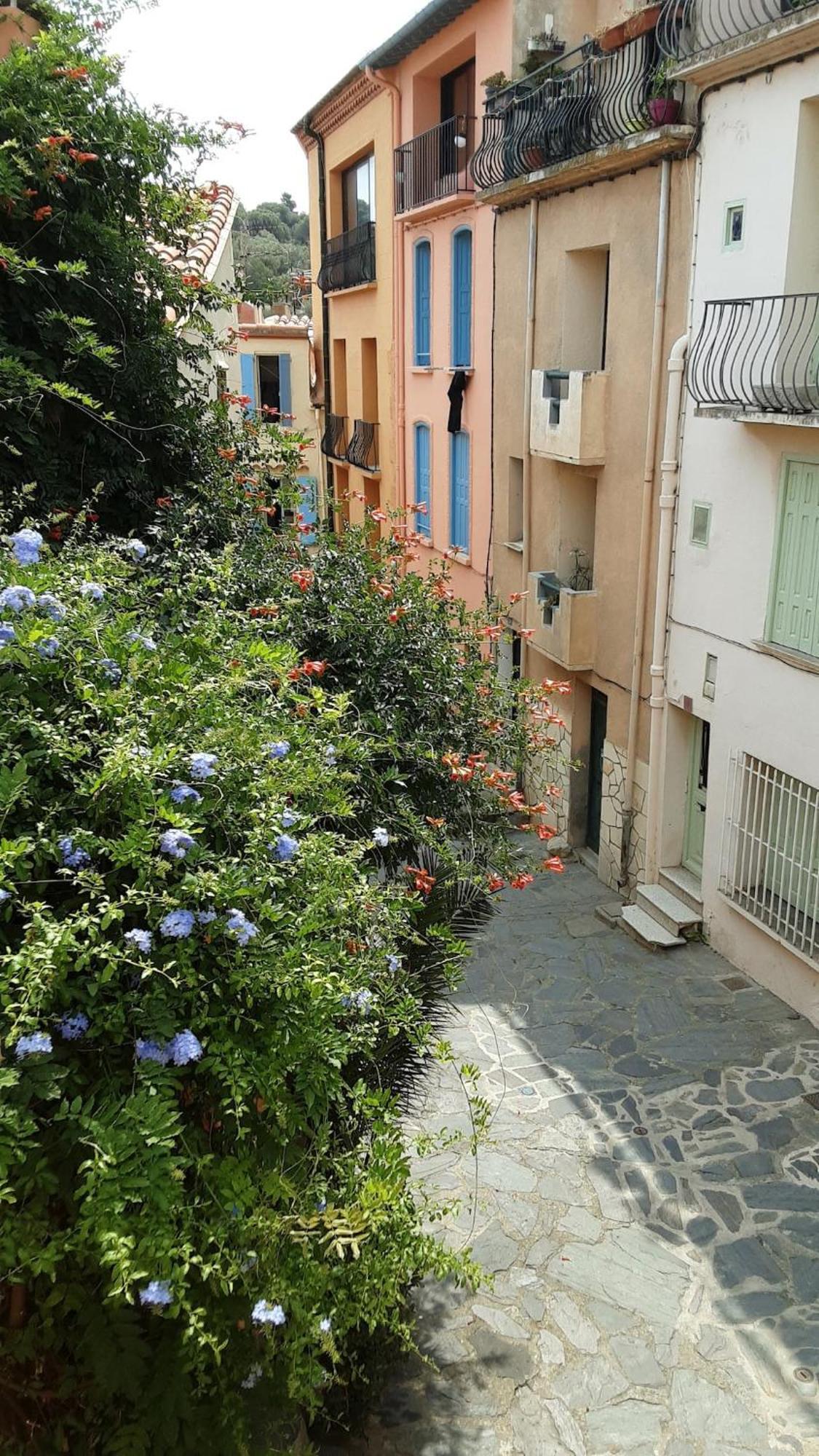 Vila Jetez L'Ancre Dans Notre Maison De Pecheur ! Collioure Exteriér fotografie